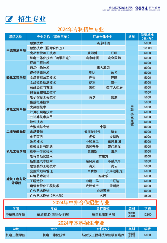 湖北輕工職業(yè)技術(shù)學(xué)院中外合作辦學(xué)專業(yè)有哪些？