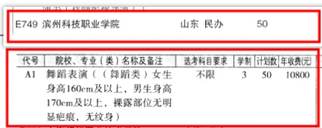 2024濱州科技職業(yè)學(xué)院藝術(shù)類學(xué)費多少錢一年-各專業(yè)收費標(biāo)準(zhǔn)