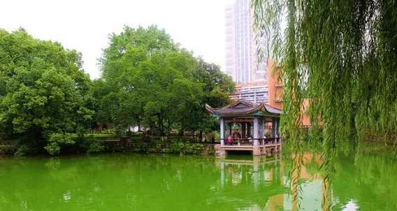 徐州生物工程職業(yè)技術(shù)學(xué)院中專部