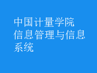 信息管理與信息系統(tǒng)