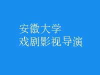 戲劇影視導(dǎo)演