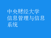 信息管理與信息系統(tǒng)