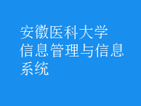 信息管理與信息系統(tǒng)