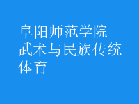 武術(shù)與民族傳統(tǒng)體育