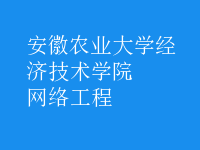 網(wǎng)絡(luò)工程