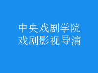 戲劇影視導(dǎo)演