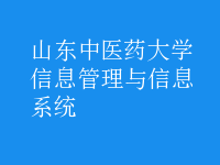 信息管理與信息系統(tǒng)