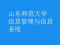 信息管理與信息系統(tǒng)