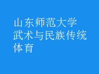 武術(shù)與民族傳統(tǒng)體育