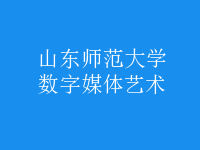 數(shù)字媒體藝術(shù)