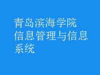 信息管理與信息系統(tǒng)