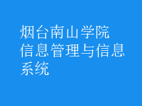 信息管理與信息系統(tǒng)