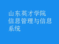 信息管理與信息系統(tǒng)