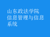 信息管理與信息系統(tǒng)