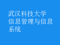 信息管理與信息系統(tǒng)