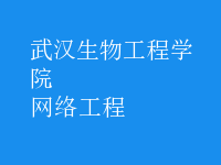 網(wǎng)絡(luò)工程