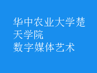 數(shù)字媒體藝術(shù)