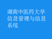 信息管理與信息系統(tǒng)