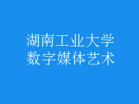 數(shù)字媒體藝術(shù)