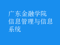 信息管理與信息系統(tǒng)