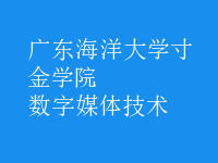 數(shù)字媒體技術(shù)