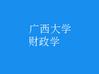 財(cái)政學(xué)