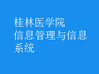 信息管理與信息系統(tǒng)