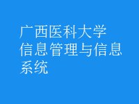 信息管理與信息系統(tǒng)