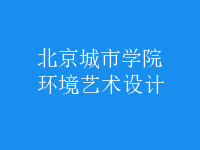 環(huán)境藝術設計