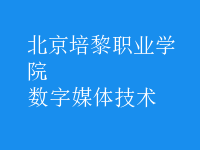 數(shù)字媒體技術(shù)