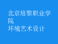 環(huán)境藝術設計