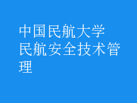 民航安全技術(shù)管理