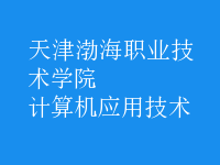 計算機應用技術