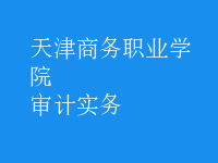 審計實(shí)務(wù)