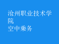 空中乘務(wù)