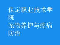 寵物養(yǎng)護與疫病防治