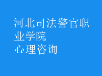 心理咨詢(xún)