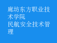 民航安全技術(shù)管理