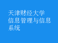 信息管理與信息系統(tǒng)