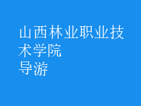 導(dǎo)游