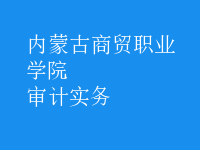 審計實(shí)務(wù)