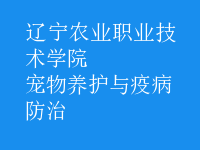 寵物養(yǎng)護與疫病防治