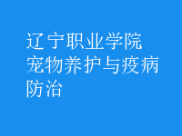 寵物養(yǎng)護與疫病防治