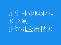 計算機應(yīng)用技術(shù)