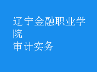 審計實(shí)務(wù)