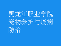 寵物養(yǎng)護與疫病防治