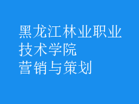 營(yíng)銷(xiāo)與策劃