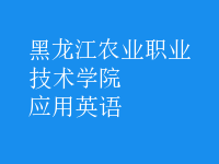 應(yīng)用英語(yǔ)