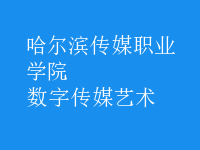 數(shù)字傳媒藝術(shù)