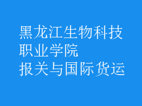 報(bào)關(guān)與國(guó)際貨運(yùn)